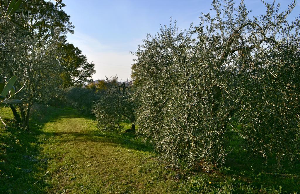 Armonie Di Villa Incontri B&B Florence Exterior photo