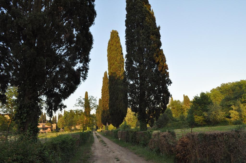 Armonie Di Villa Incontri B&B Florence Exterior photo