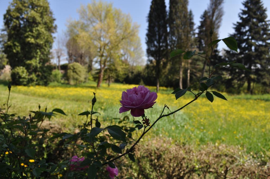 Armonie Di Villa Incontri B&B Florence Exterior photo